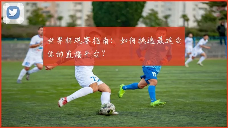 世界杯观赛指南：如何挑选最适合你的直播平台？
