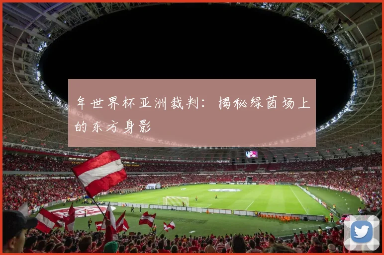 年世界杯亚洲裁判：揭秘绿茵场上的东方身影