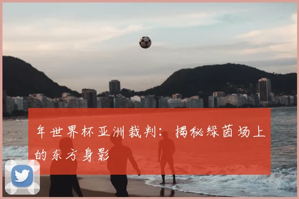 年世界杯亚洲裁判：揭秘绿茵场上的东方身影