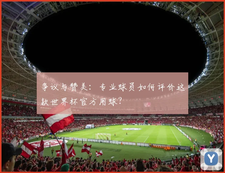 争议与赞美：专业球员如何评价这款世界杯官方用球？