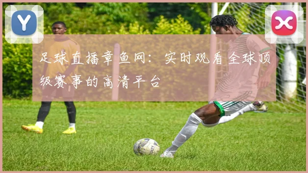 足球直播章鱼网：实时观看全球顶级赛事的高清平台