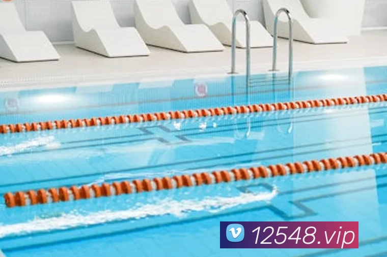 米兰app登陆入口平台生态图